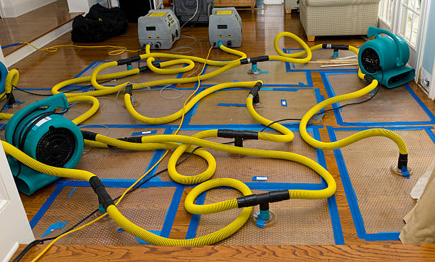 Professional Crawl Space Water Removal technician working in Tracys Landing, MD